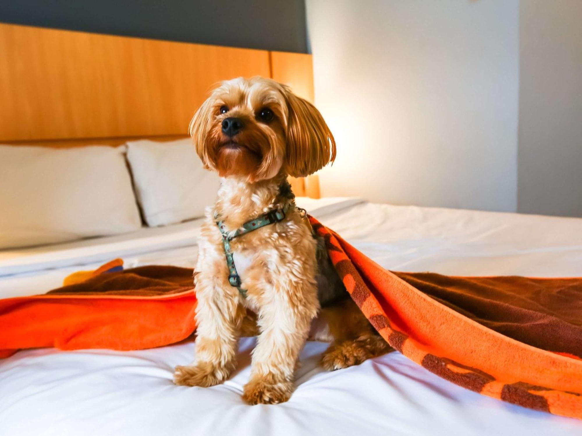 Ibis Rio De Janeiro Nova America Zewnętrze zdjęcie